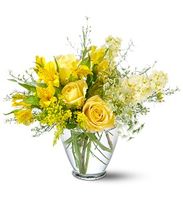 Delicate Yellow Delicate Yellow