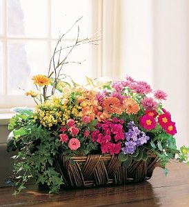 Deluxe European Garden Basket