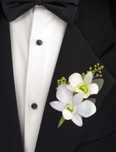 Dendrobium  Boutonniere