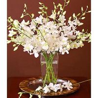 Dendrobium orchids bouquet