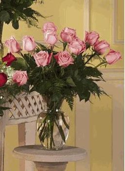 Dozen Pink Rose Arrangement