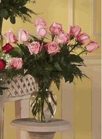 Dozen Pink Rose Arrangement Dozen Pink Rose Arrangement