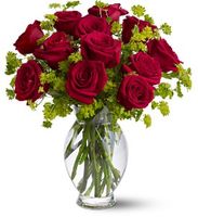 Dozen Roses Dozen Roses