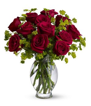 Dozen Roses