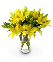 Easter Flower Gifts
