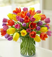 Enchanting Tulip Bouquet Valentine