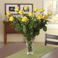 Enchanting Yellow Dozen Roses - Vase variety Enchanting Yellow Dozen Roses - Vase variety