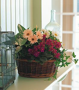  European Garden Basket