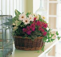 European Garden Basket