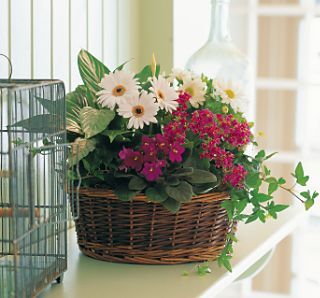 European Garden Basket