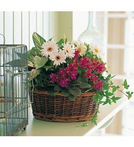 European Garden Basket