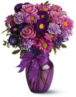 Everlasting Lavender