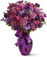 Everlasting Lavender Flowers
