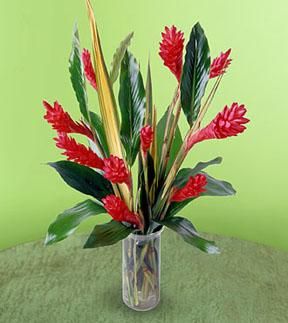 Exotic ginger 