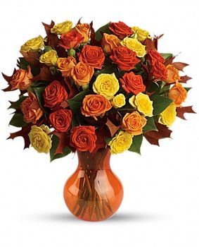 Fabulous Fall Roses Flowers