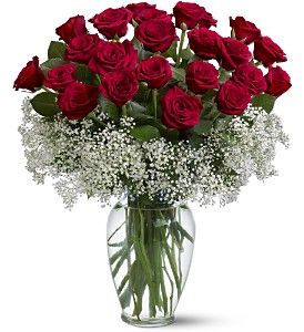Field of Roses