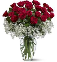 Field of Roses