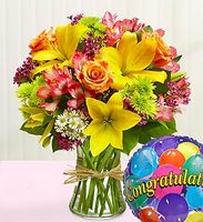Fields of Europe Congratulations Fields of Europe Congratulations