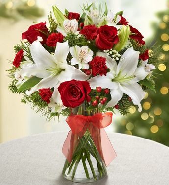 Fields of Europe for Christmas