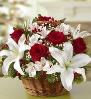Fields of Europe™ for Christmas Basket Fields of Europe™ for Christmas Basket