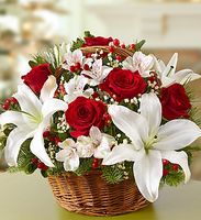 Fields of Europe for Christmas Basket