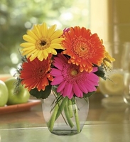Fiesta Gerbera Vase Fiesta Gerbera Vase