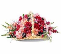 Fire Side Basket Sympathy