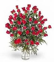 red rose Happy Valentine day