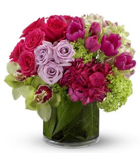 Floral Fantasia