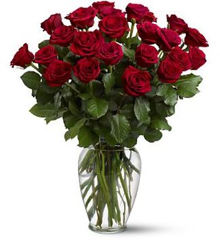  florists & flower shop online delivery In MesquiteTexas 
