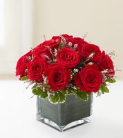 Flowers Rose Romance Flowers Rose Romance
