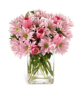 Freshness Bouquet
