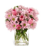 Freshness Bouquet