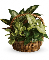 Garden Basket