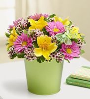 Garden Bouquet 