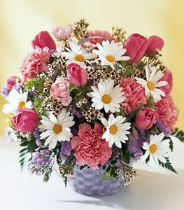 Garden Delight