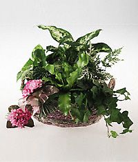 Garden planter for a baby girl.
