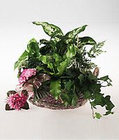 Garden planter for a baby girl.