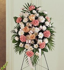 Gentle Thoughts Spray 