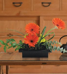 Gerbera Bowl