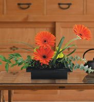 Gerbera Bowl