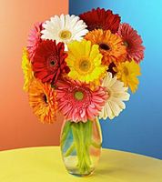 Gerbera Daisy Bouquet Gerbera Daisy Bouquet