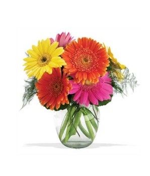 Gerbera Vase