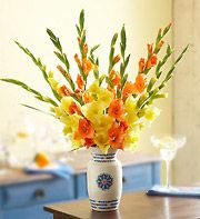 Gladiolas