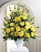 Glowing Ray Arrangement