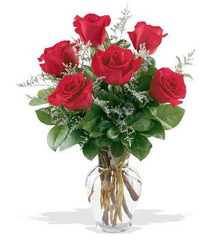 Half Dozen Roses Arranged