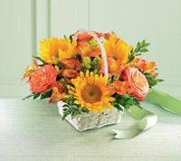 Happy Blooms Happy Blooms