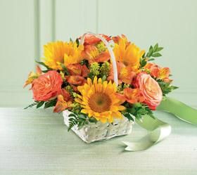 Happy Blooms