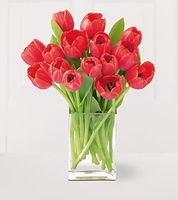 Holiday Hopes Tulip Bouquet 