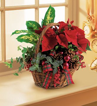 Holiday Planter Basket
